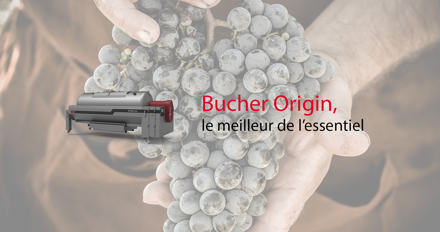 bucher origin