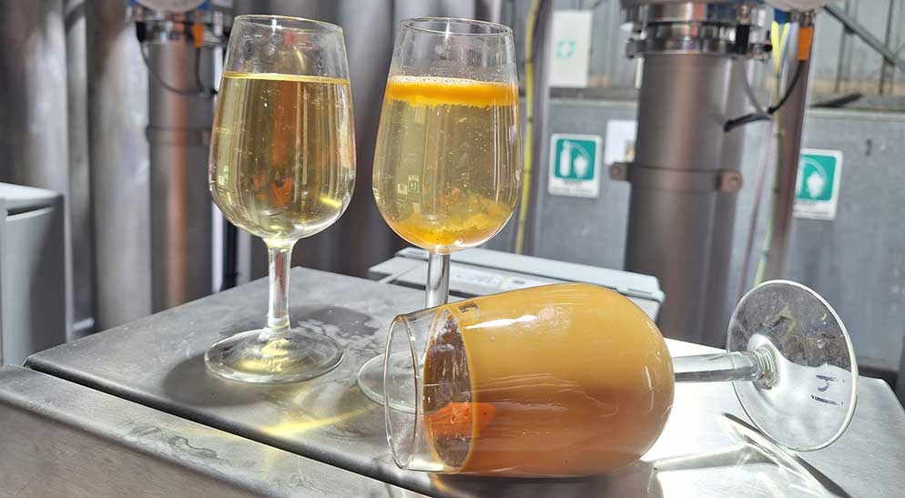 Juice | Juice Lees | Wine lees